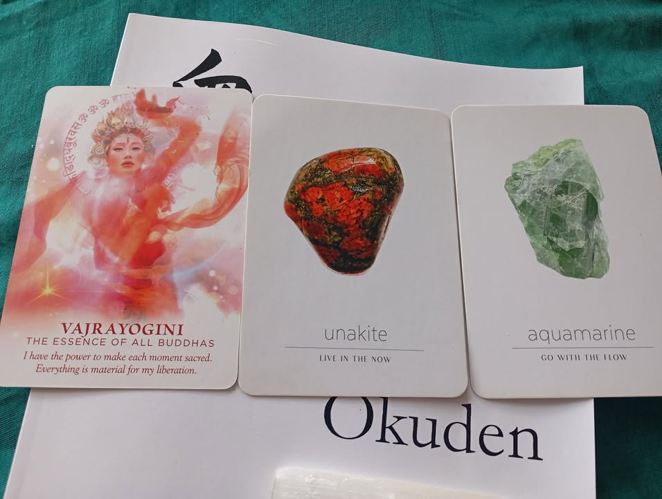 Rachael Lewis The Rogue Shaman