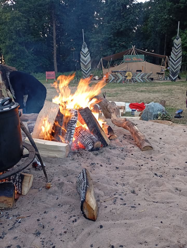 Rachael Lewis The Rogue Shaman